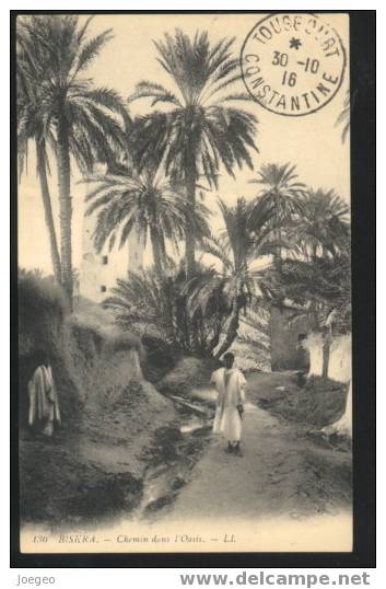 (6203) - Biskra - Chemin dans l'Oasis