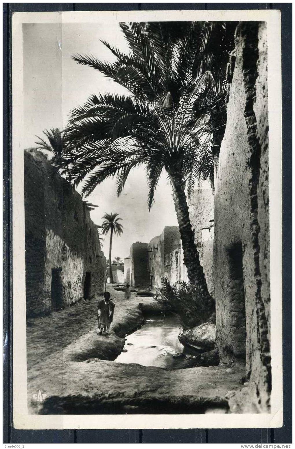 VIEUX BISKRA . Une rue de Bad Darh .Carte animée . Voir Recto - Verso  (K187)