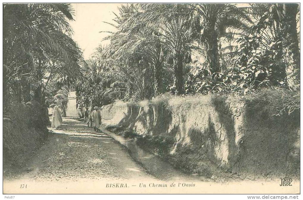CPA  Biskra Un chemin de l´Oasis  (animée)   B487