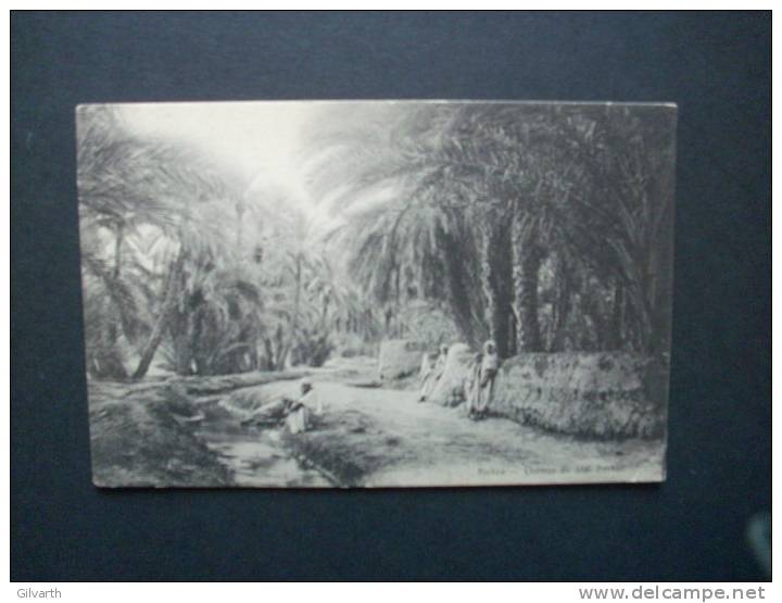 BISKRA chemin de sidi barkat -  CIRCULEE 1907  L68B