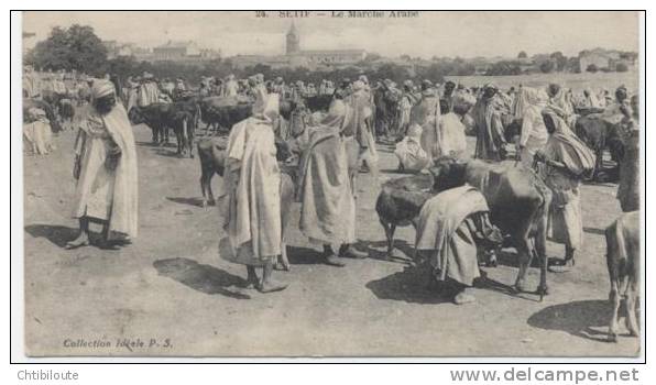 AFRIQUE  /  ALGERIE  /  BISKRA   