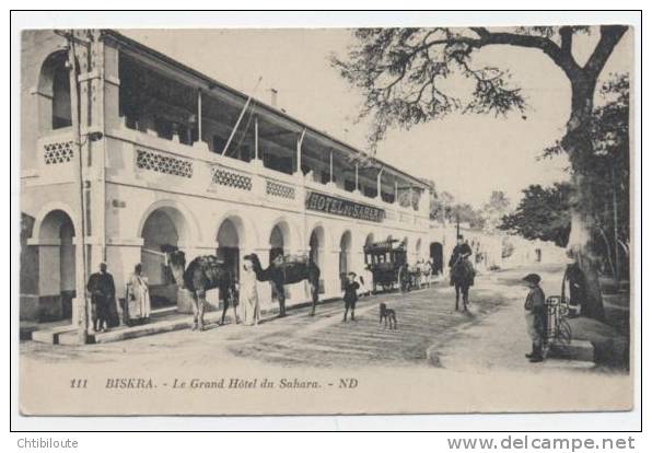 AFRIQUE  /  ALGERIE  /  BISKRA   