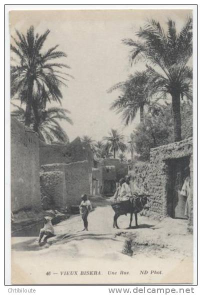 AFRIQUE  /  ALGERIE  /  BISKRA   