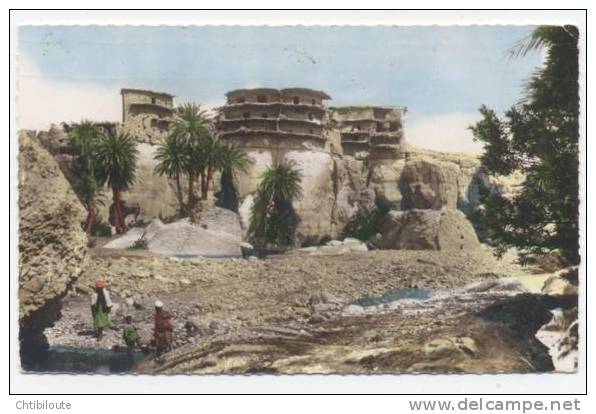 AFRIQUE  /  ALGERIE   /   BISKRA  /    /  VUE GENERALE  CPSM   9X14  TBE