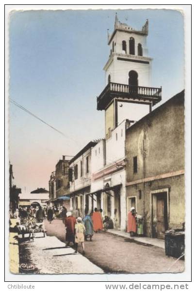 AFRIQUE  /  ALGERIE   /   BISKRA  /    /  VUE GENERALE  CPSM   9X14  TBE