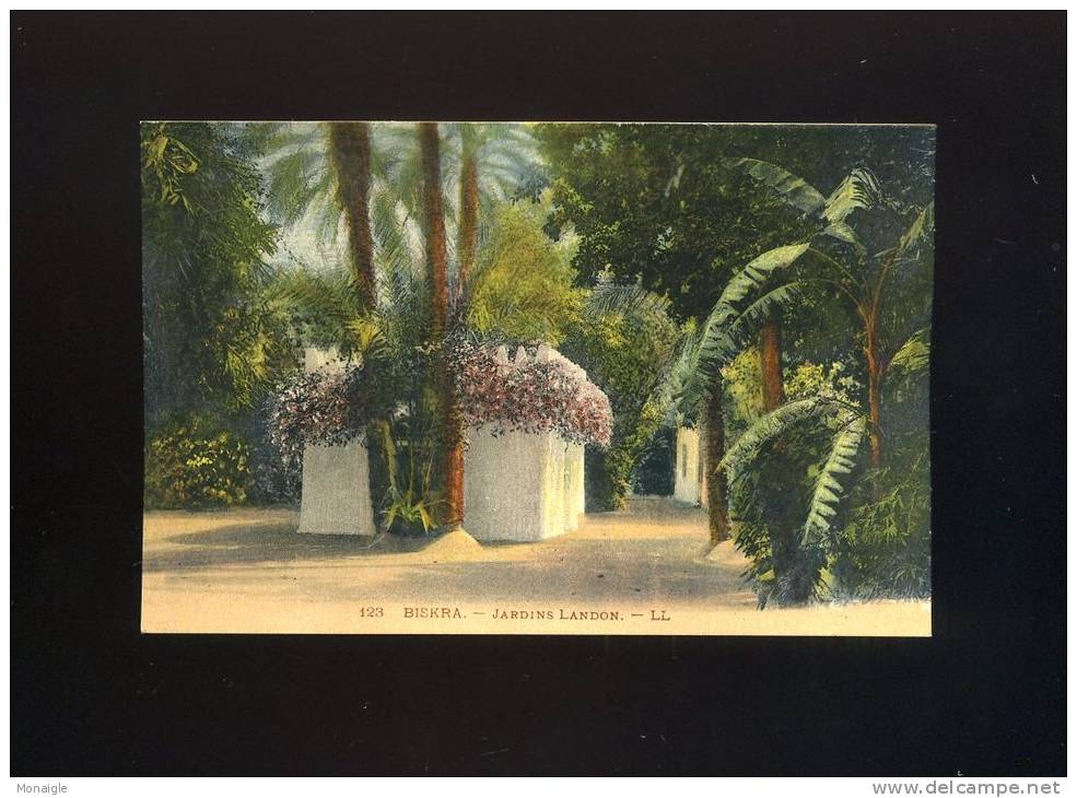 CPA ALGERIE  BISKRA  JARDINS LANDON  LL