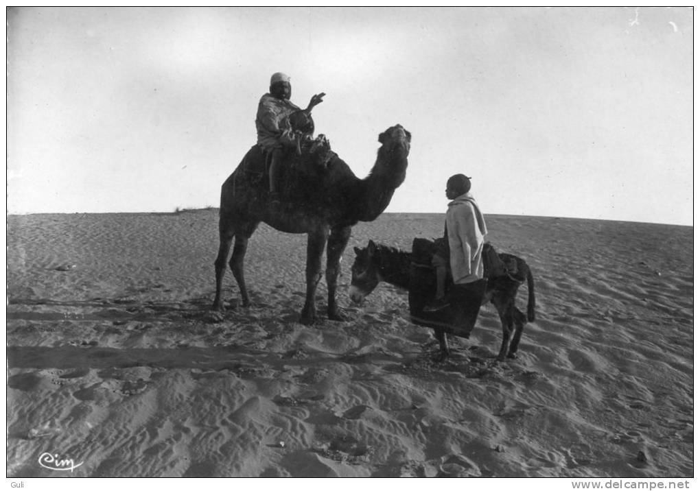 Algérie >  BISKRA (Constantine) Une Rencontre (Cpsm - Editions Combier /CIM 1091)* PRIX FIXE