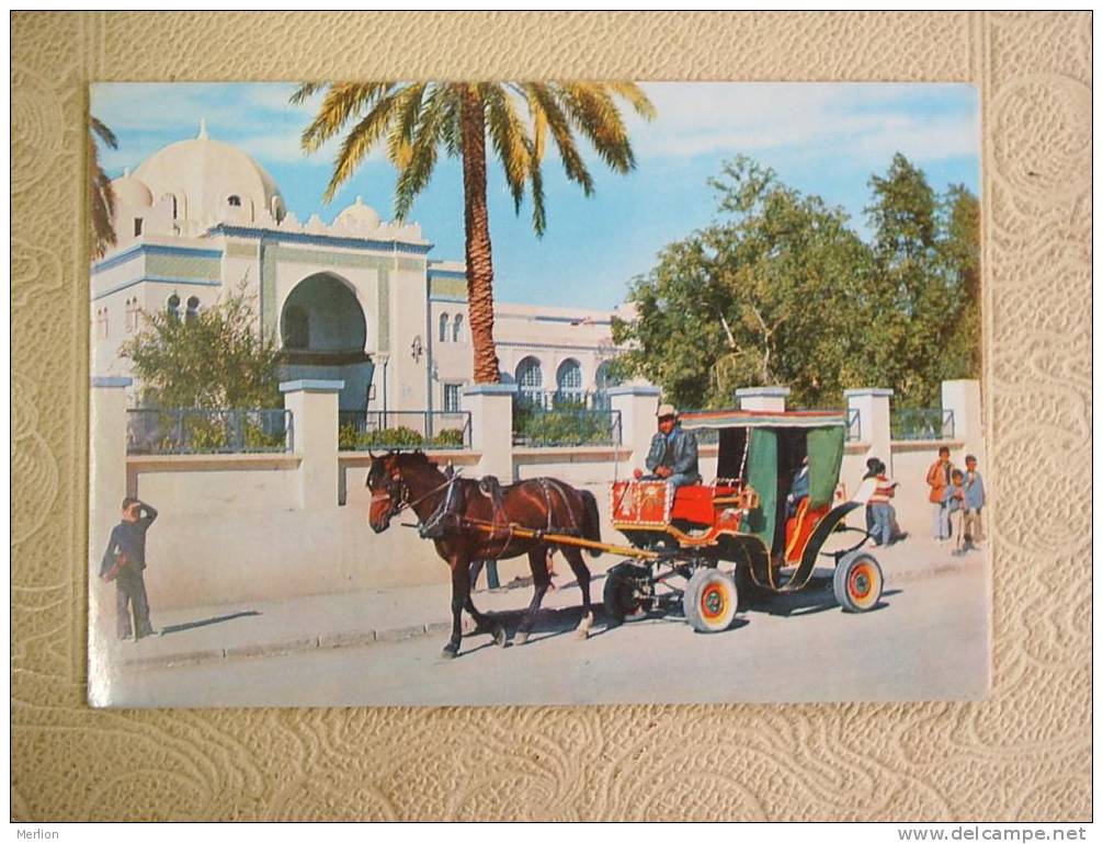 Algerie, BISKRA street scene  cca  1970-   VF /XF  D3780
