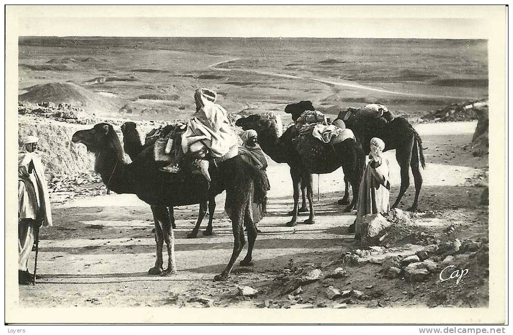 BISKRA  -  Halte au Col de Sfa.