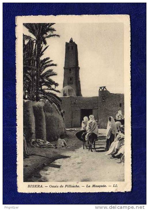 ALGERIE / ALGERIEN    BISKRA   Oasis de Filliache - La Mosquée