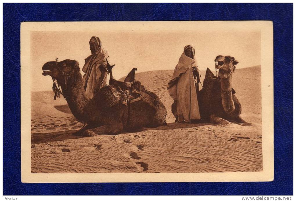 ALGERIE / ALGERIEN   Env.de Biskra . Repos dans les dunes
