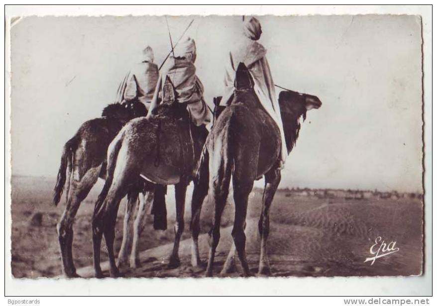 Biskra - Groupe de Touaregs