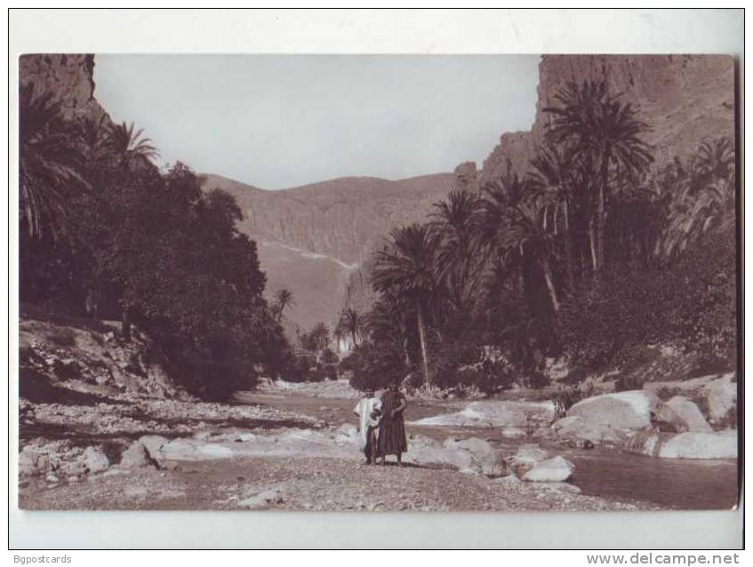 Environs de Biskra - El Kantara