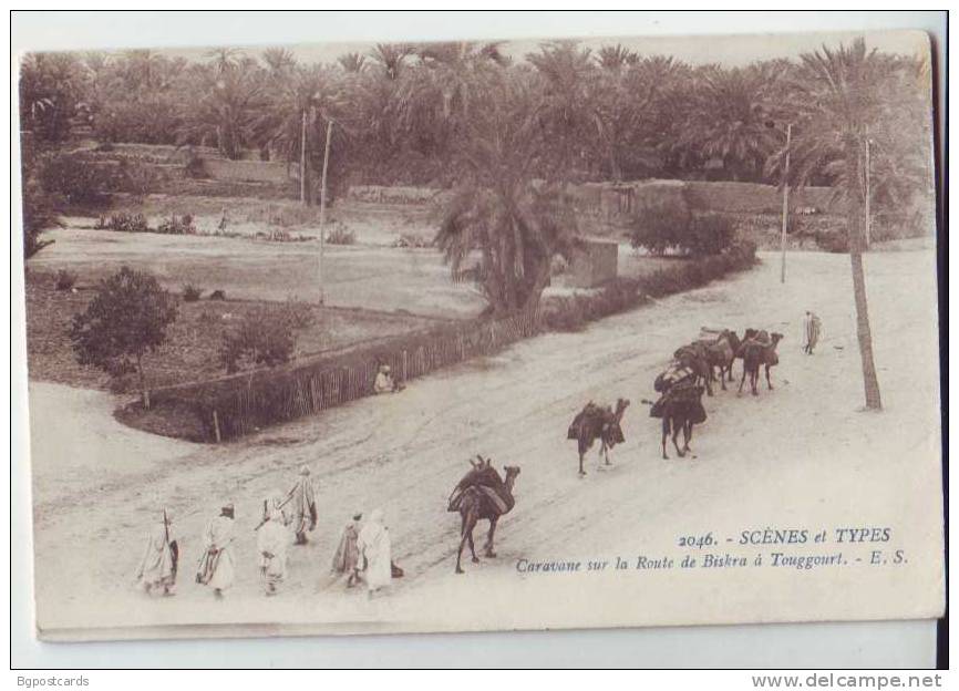 Route de Biskra a Touggourt