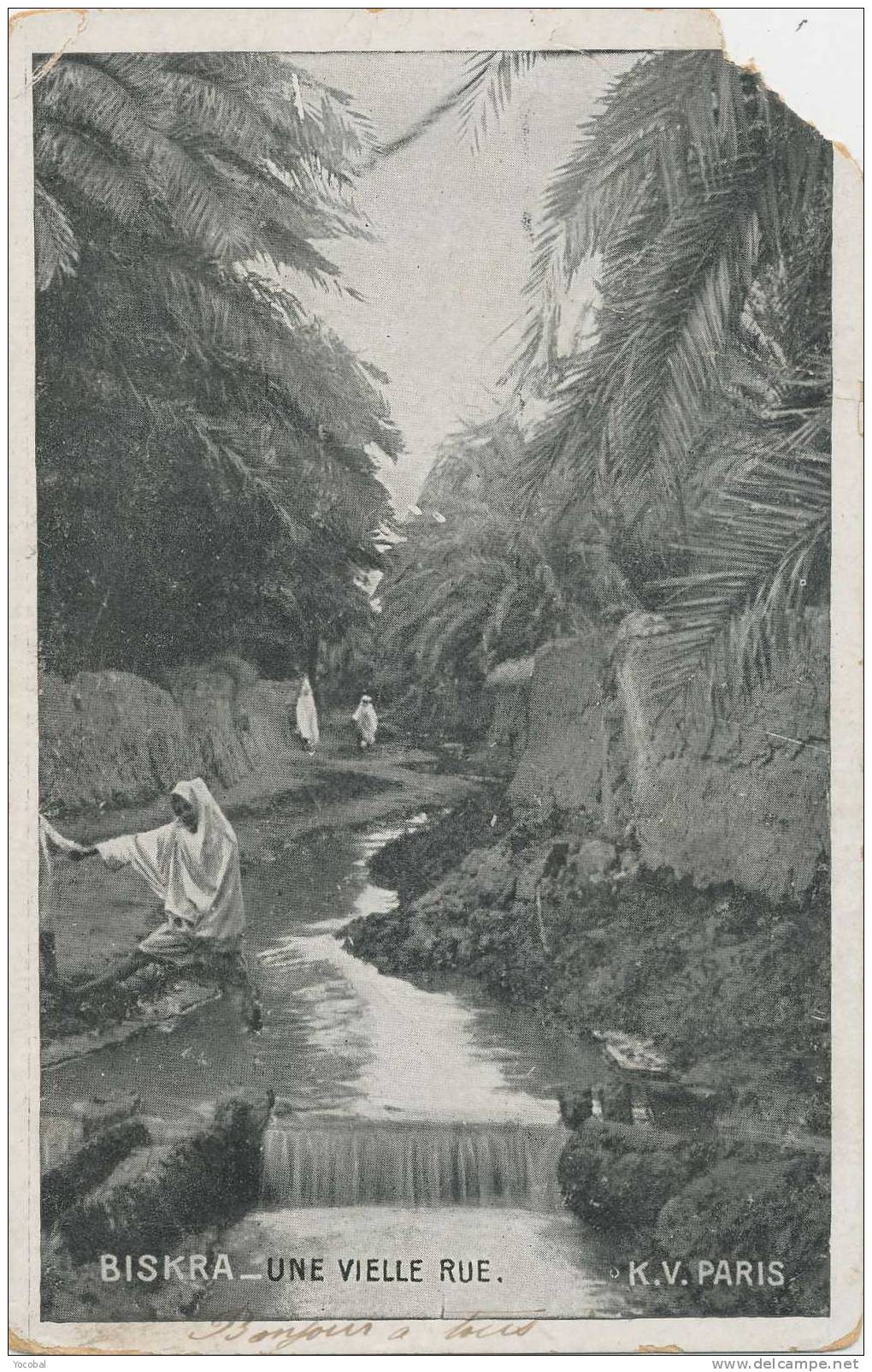 cp , ALGERIE , BIskra , Une vieille rue