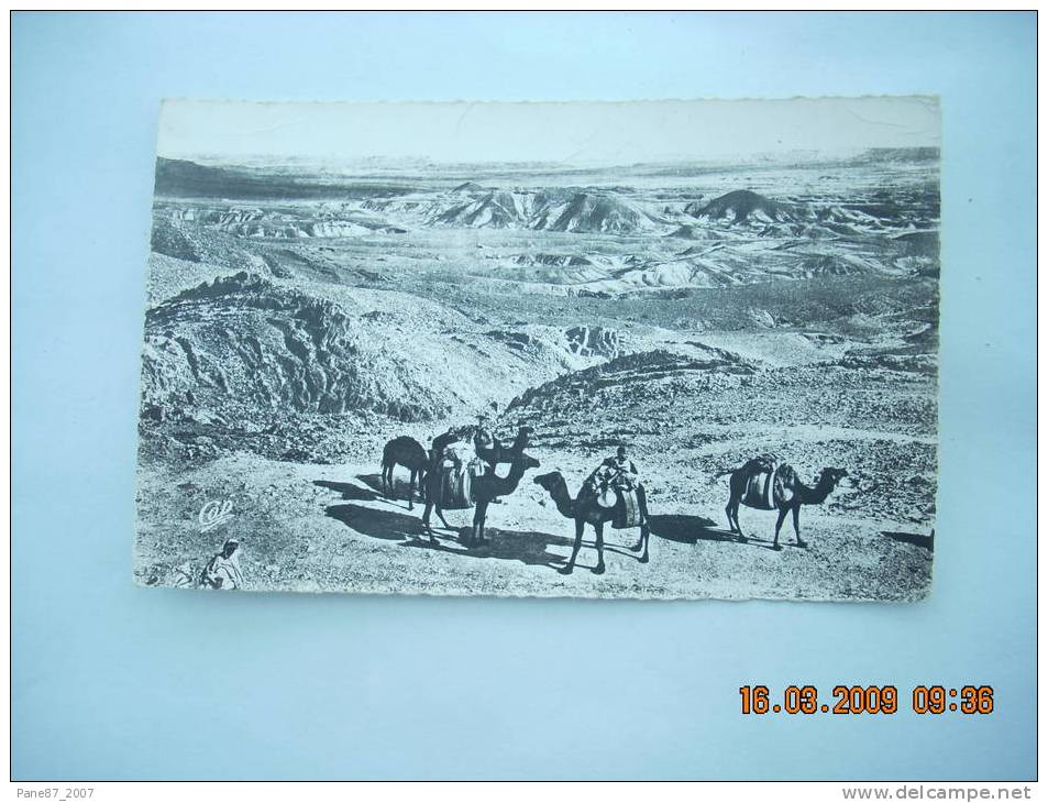 ALGERIE  ENVIRONS DE BISKRA   COL DE SFA