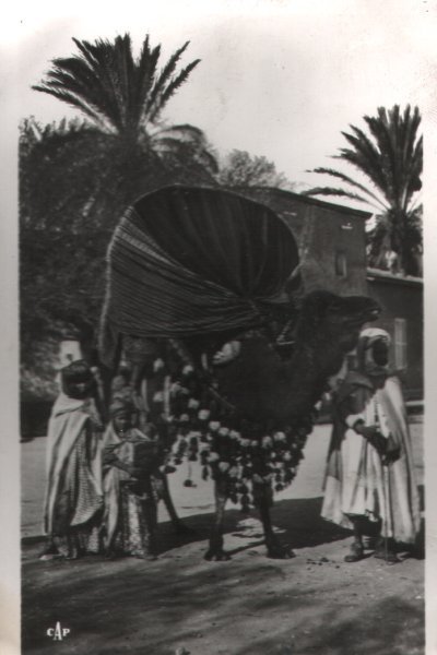 Algérie  Biskra un Basour