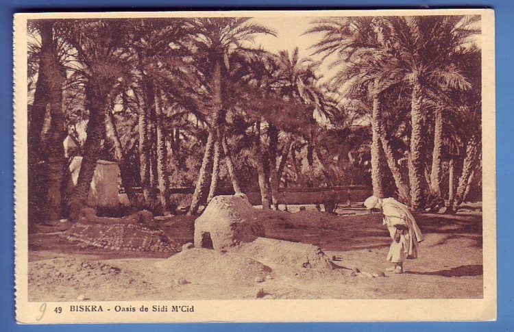 BISKRA - Algérie  Oasis de Sidi M´Cid - Personne - Palmiers