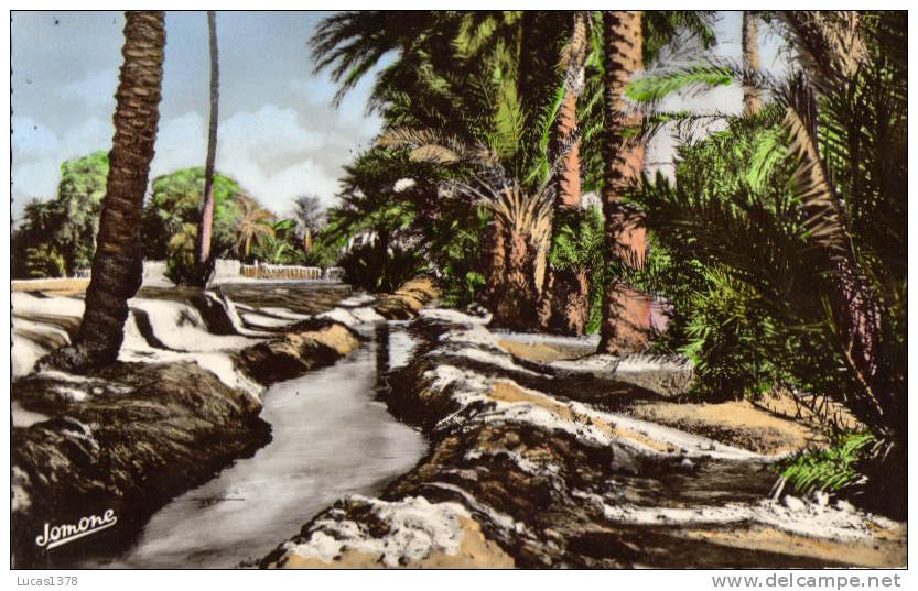 BISKRA / UNE SEGHIA DANS LA PALMERAIE / EDIT JOMONE 68