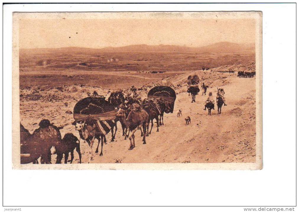 BISKRA  -  Caravane  au  Col  de  Sfa