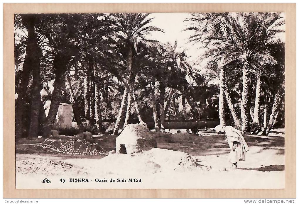 BISKRA OASIS SIDI M´CID 1930s ¤ CAP 49 ¤ ALGERIE ALGERIA ALGERIEN ARGELIA ALGERIJE ¤552AA