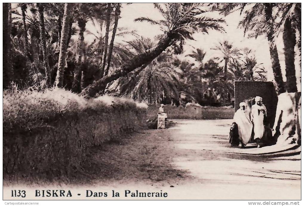 BISKRA Dans la PALMERAIE 1930s ¤ CAP 1133 ¤ ALGERIE ALGERIA ALGERIEN ARGELIA ALGERIJE ¤555AA