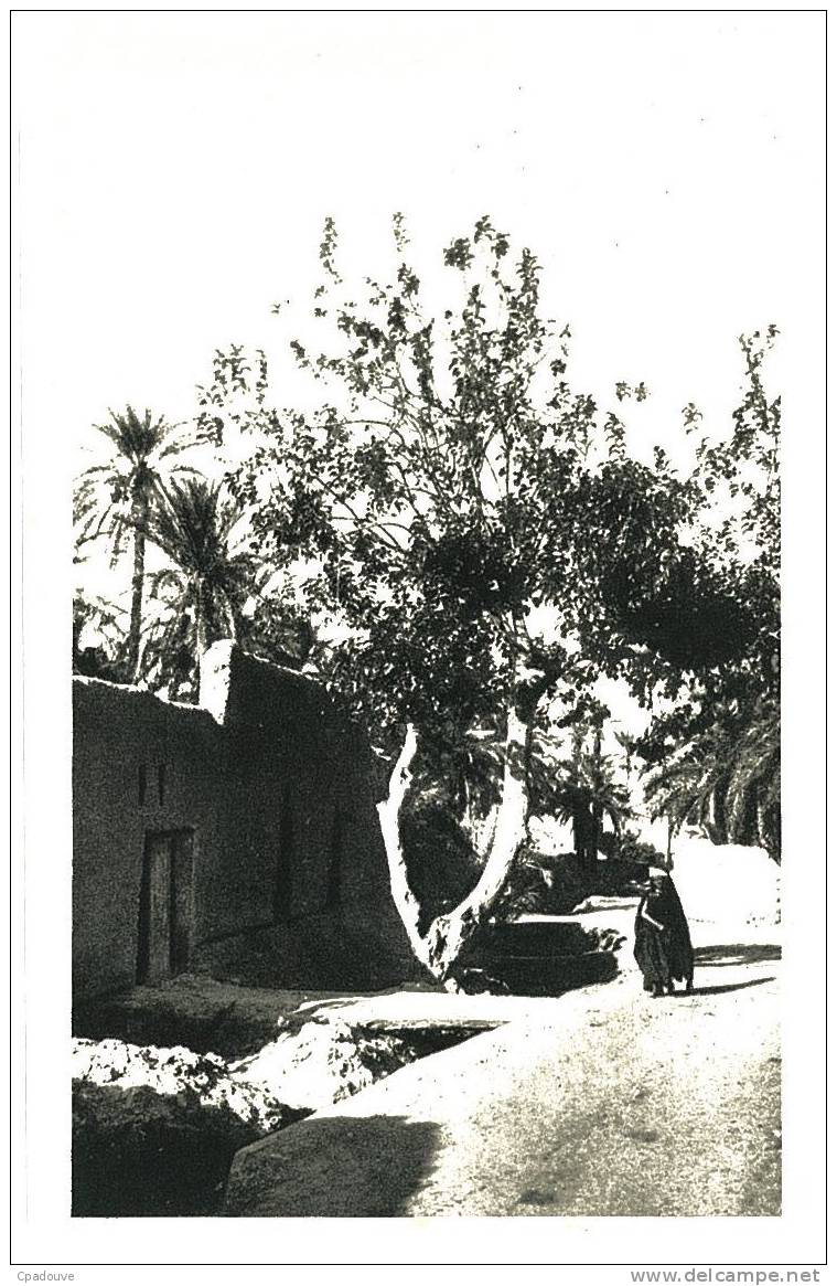 CPA dans le vieux Biskra