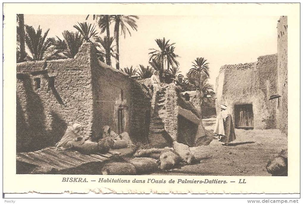 Algérie - Biskra - Habitations dans l´Oasis de Palmiers-Dattiers - 1940