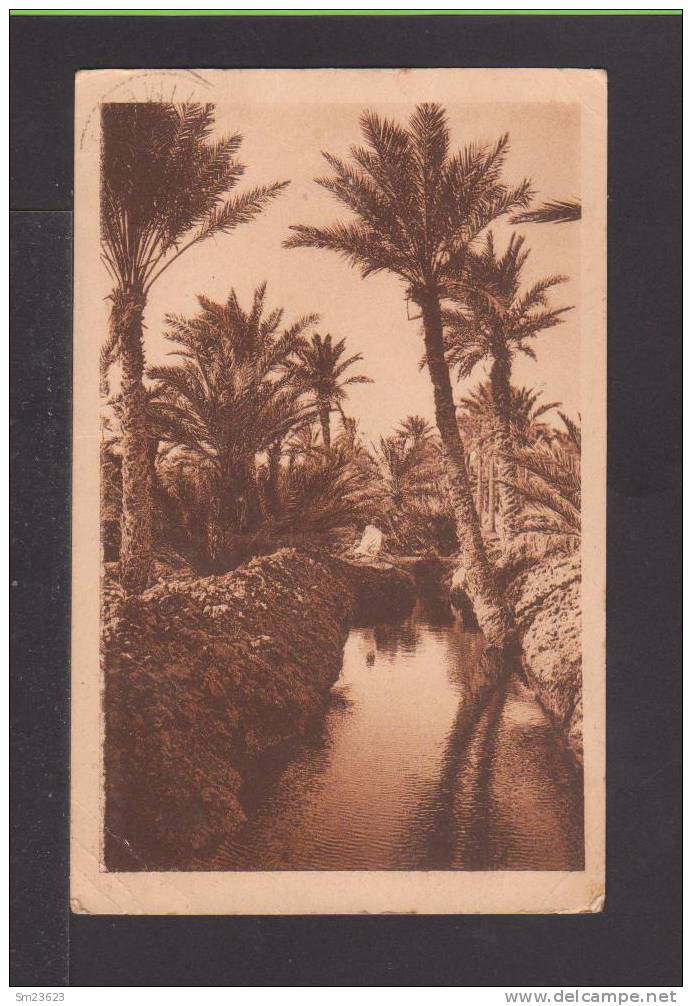 Biskra (GA144)  Une Seguia dans I´Oasis - 1924 -