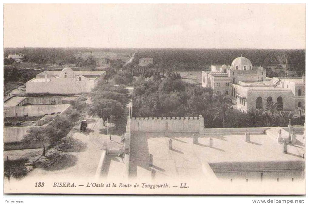 BISKRA  L'Oasis et la route de Touggourth