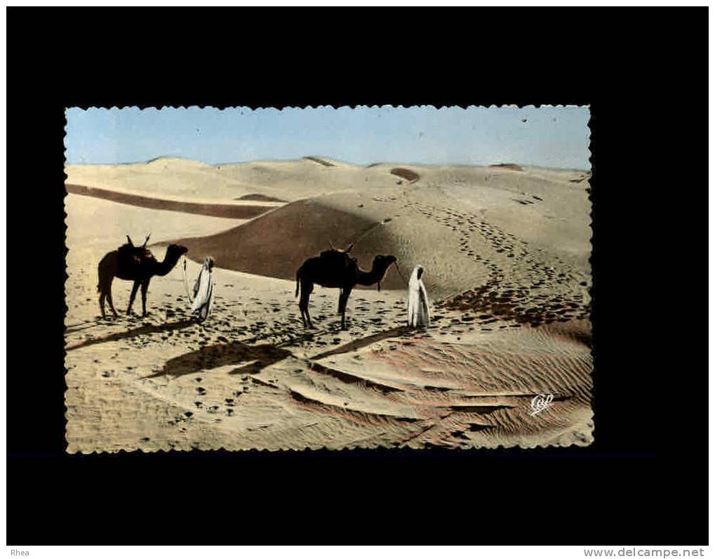 713 BISKRA - Dunes de Sable - desert - sahara