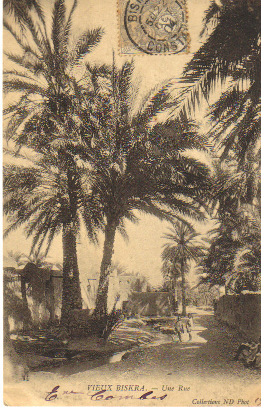 / ALGERIE - VIEUX BISKRA - Une rue