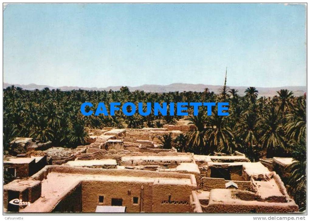 Biskra - Oasis - Vue des palmiers