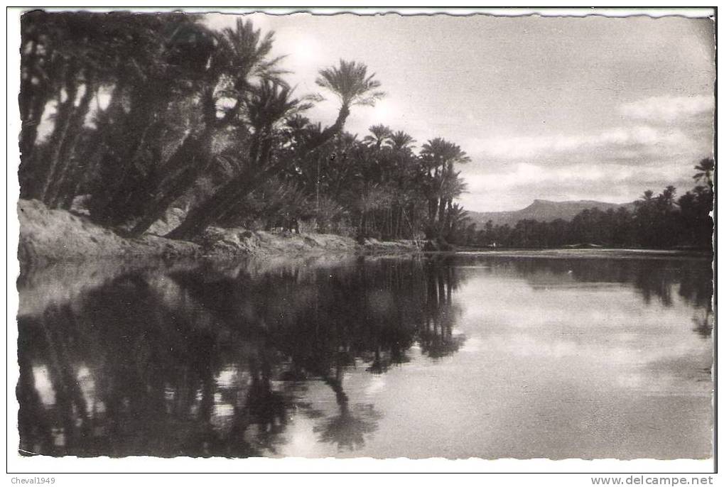 7477 ..colomb bechar..vue de l,oued