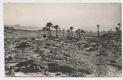 COLOMB BECHAR  Désert à Cent Pas