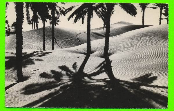 COLOMB-BÉCHAR - CONTRE-JOUR - CONDITION A1 - CLICHÉ R.DELAYANCE -