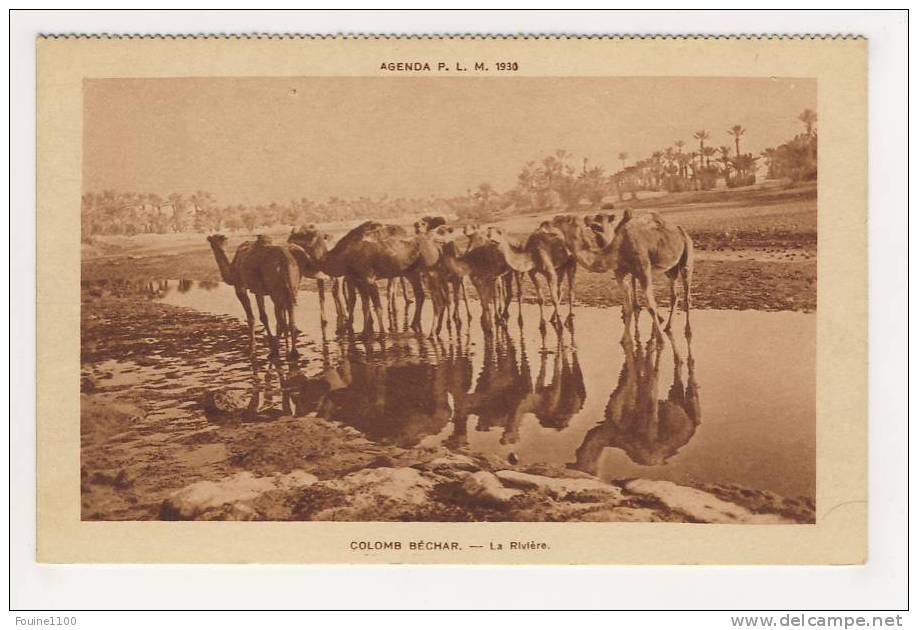 colomb béchar la rivière