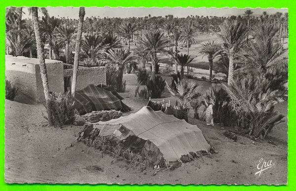 COLOMB-BÉCHAR - DANS L´OASIS ANIMÉE - CONDITION A1 - PHOTO AFRICAINES -