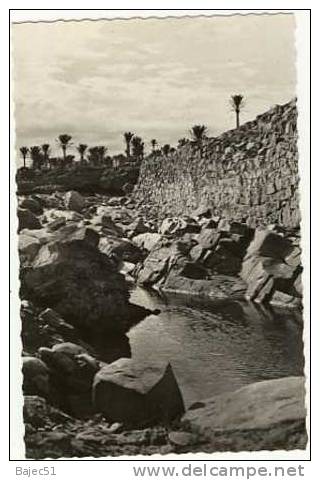 1 cpsm colomb béchar