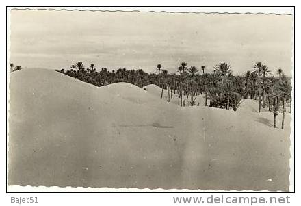 1 cpsm colomb béchar