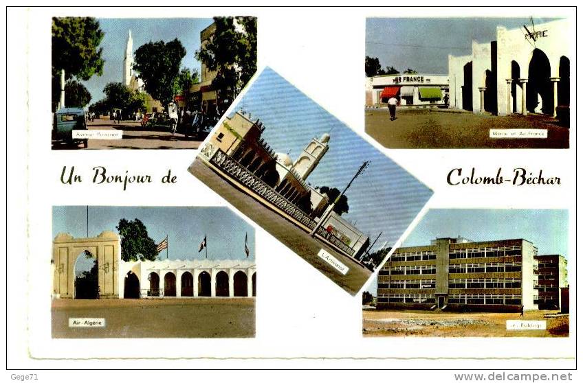 colob bechar - un bonjour