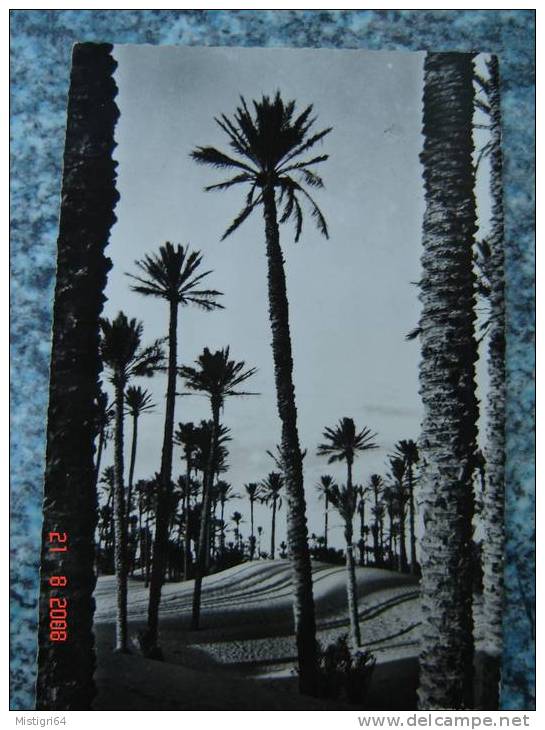 CPA - COLOMB-BECHAR - VUE SUR LES DUNES  - A1