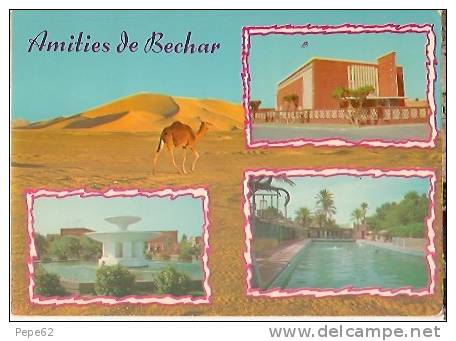 souvenir de bechar-amitiés de bechar-cpm