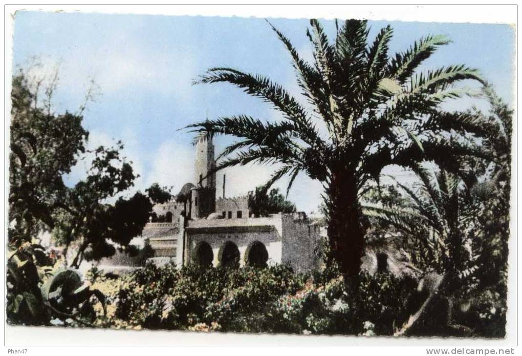 ALGERIE, COLOMB-BECHAR (Saoura) Un coin du Jardin Public, Minaret, palmiers