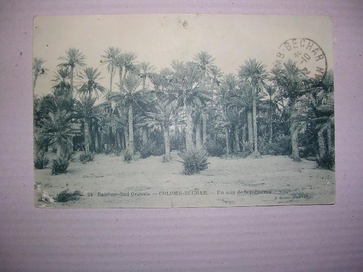 colomb bechar Extreme sud oranais Colomb bechar un coin de la palmeraie  petit trous punaise