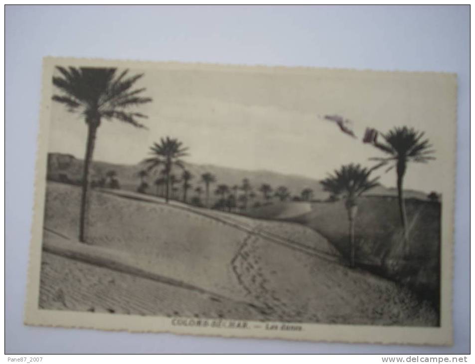 ALGERIE   834  COLOMD BECHAR