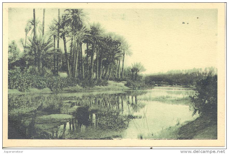 ARGELIA, ALGER. COLOMB BECHAR. LA RIVIERE CPA CIRCA 1935 NON CIRCULEE TBE TOP CARTE CUAC