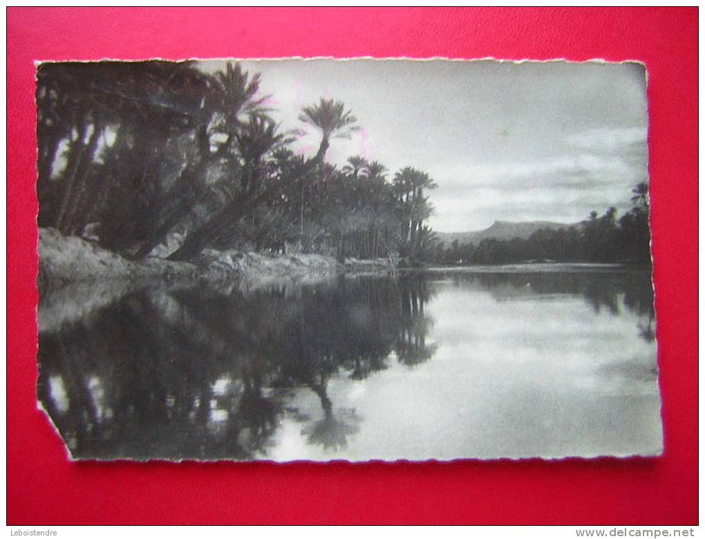 CPSM-ALGERIE-COLOMB-BECHA R -VUE DE L'OUED