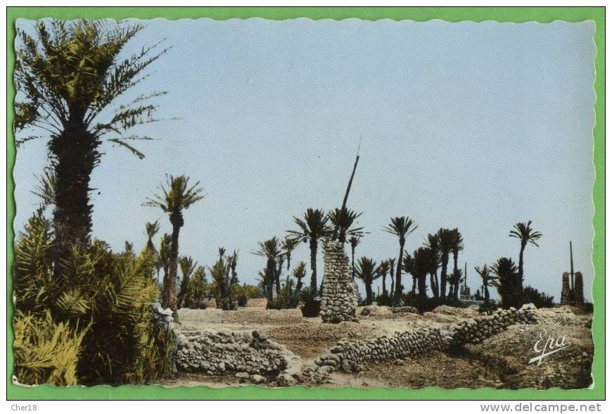 42 Colomb Bechar une oasis