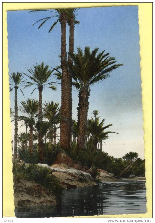 Colomb Bechar l Oued